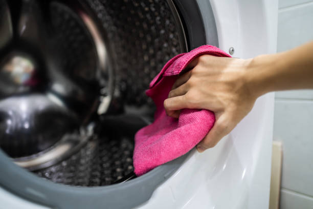 Best Mold Prevention Services  in Greenville, KY