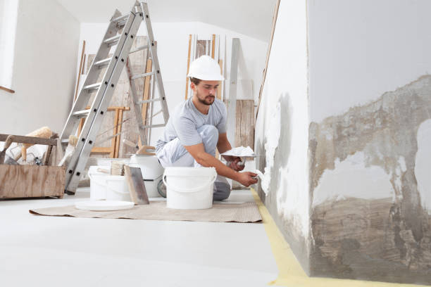 Best Mold Documentation for Insurance Claims  in Greenville, KY
