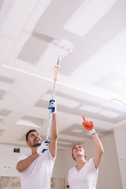 Best Emergency Mold Remediation  in Greenville, KY