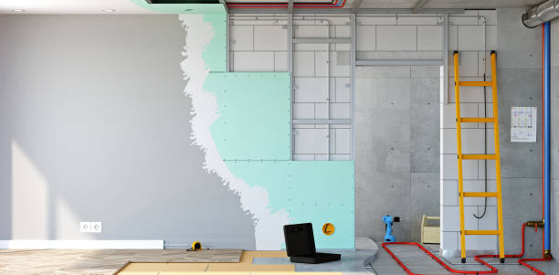 Best Comprehensive Air Testing for Mold Contaminants  in Greenville, KY