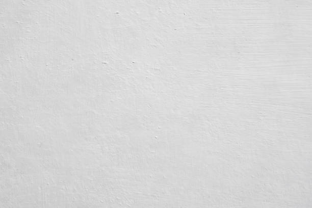 Best Mold-Related Health Consultation  in Greenville, KY