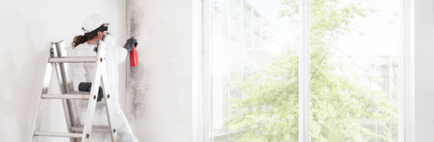 Best Comprehensive Air Testing for Mold Contaminants  in Greenville, KY