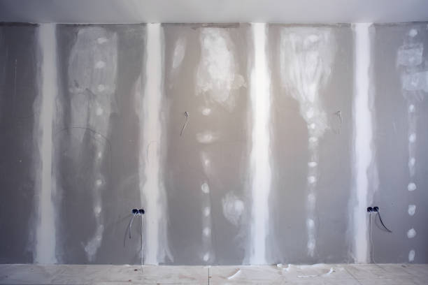  Greenville, KY Mold Removal Pros